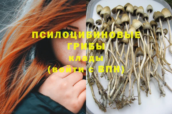 jwh Нефтекумск