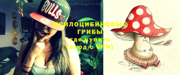 PSILOCYBIN Новозыбков